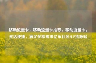 移动流量卡，移动流量卡推荐，移动流量卡，灵活便捷，满足多样需求亿乐社区SUP货源站