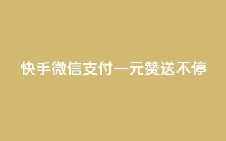 快手微信支付:一元赞送不停
