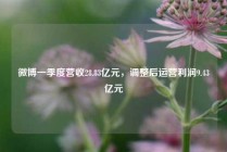 微博一季度营收28.83亿元，调整后运营利润9.43亿元