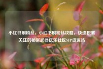 小红书刷粉丝，小红书刷粉丝攻略，快速积累关注的秘密武器亿乐社区SUP货源站