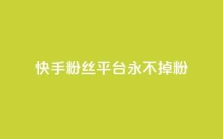 快手粉丝平台+永不掉粉,抖音业务低价自助平台超低价 - 评论点赞业务 - 自助平台