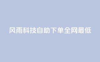 风雨科技自助下单全网最低 - 风雨科技提供全网最优自助下单服务!