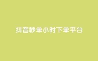 抖音秒单24小时下单平台 - 抖音秒单24小时下单平台——极速购物，惊喜无限!