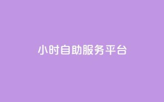 ks24小时自助服务平台 - 全天候KS自助服务平台，一站式助力您的需求~