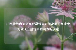 广西壮族自治区党委常委会：坚决拥护党中央对蓝天立进行审查调查的决定