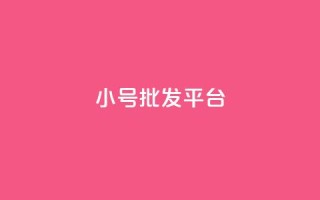 dy小号批发平台 - Dy小号批发平台优势解析与选购指南。