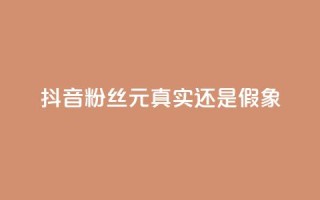 抖音1000粉丝100元:真实还是假象?