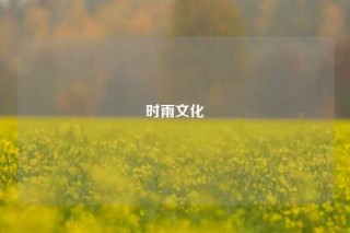时雨文化