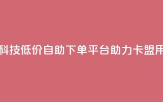 卡盟低价自助下单科技 - 低价自助下单平台助力卡盟用户轻松购买!