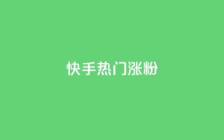 快手热门涨粉APP - 热门快手涨粉软件的新冠军!