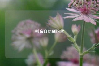 抖音自助刷粉丝