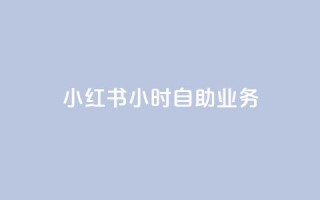 小红书24小时自助业务 - 小红书24小时自主服务全攻略!