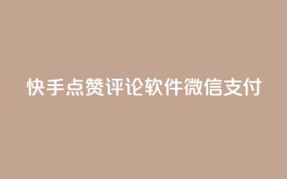 快手点赞评论软件微信支付 - 一元一万抖音粉丝