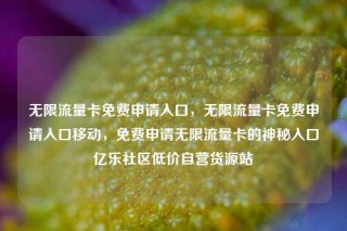 无限流量卡免费申请入口，无限流量卡免费申请入口移动，免费申请无限流量卡的神秘入口亿乐社区低价自营货源站