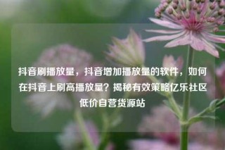 抖音刷播放量，抖音增加播放量的软件，如何在抖音上刷高播放量？揭秘有效策略亿乐社区低价自营货源站