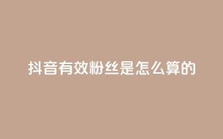 抖音有效粉丝是怎么算的 - 抖音如何计算有效粉丝数量?解析方法详解!~
