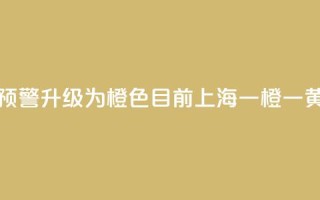 注意!暴雨预警升级为橙色,目前上海“一橙一黄”预警高挂