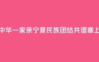 【铸牢共同体 中华一家亲】宁夏：民族团结 共谱塞上江南新篇章