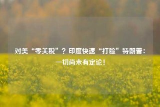 对美“零关税”？印度快速“打脸”特朗普：一切尚未有定论！