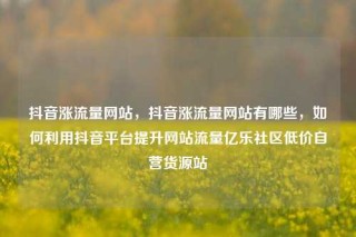 抖音涨流量网站,抖音涨流量网站有哪些,如何利用抖音平台提升网站流量亿乐社区低价自营货源站
