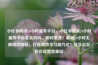 小红书阅读24小时服务平台，小红书阅读24小时服务平台是真的吗，限时免费！解锁24小时无限阅读特权，打造高效学习新方式！亿乐社区低价自营货源站