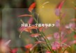 抖音上一个嘉年华多少
