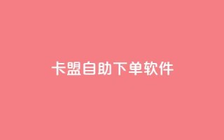 卡盟自助下单软件 - 提升业务效率！卡盟自助下单软件让您轻松逐梦~