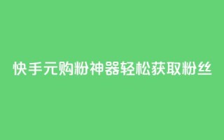 快手10元购粉神器,轻松获取1000粉丝