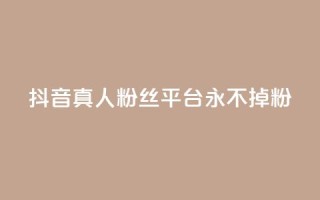抖音真人粉丝平台 永不掉粉,24小时在线下单商城 - pdd助力平台 - 拼多多多久才算老用户回归