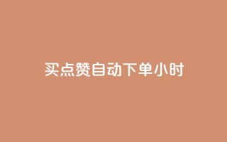 买点赞 自动下单 24小时 - 有效提升文章曝光，24小时即刻获取赞助——赞助购买服务更新指南~