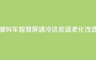 上海部分“一键叫车”智慧屏遇冷？这些适老化改造问题待优化