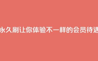 永久刷QQVIP,让你体验不一样的会员待遇