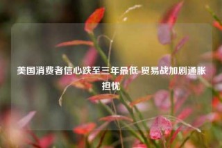 美国消费者信心跌至三年最低 贸易战加剧通胀担忧