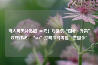 每人每天补贴超1000元！刘强东“国补+外卖”双线作战，“618”打响即时零售“三国杀”