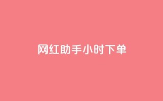 网红助手24小时下单,雷神24小时自动下单平台KS - 24小时秒单官网登录入口 - qq超级会员低价网站