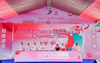 火“荔”全开！湛江遂溪仙品荔跑好广东荔枝营销第一棒
