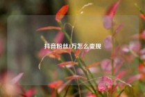 抖音粉丝1万怎么变现