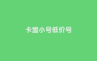 卡盟qq小号低价号 - 购买低价QQ小号，找卡盟助手~