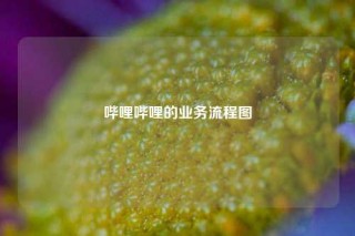 哔哩哔哩的业务流程图