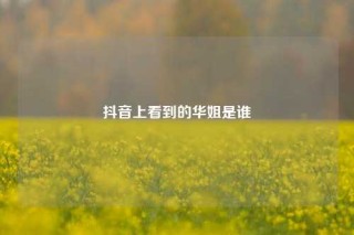 抖音上看到的华姐是谁