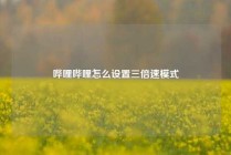 哔哩哔哩怎么设置三倍速模式