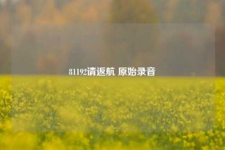 81192请返航 原始录音