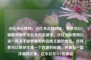 小红书点赞网，小红书点赞网址，当然可以！请提供你希望包含的关键字，小红书点赞网以及一些关于你想要的内容或主题的想法。这样我可以帮你生成一个合适的标题，并撰写一篇详细的文章。亿乐社区SUP货源站