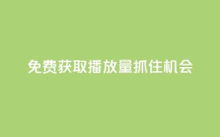 免费获取KS播放量,抓住机会!