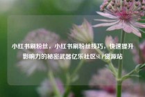 小红书刷粉丝，小红书刷粉丝技巧，快速提升影响力的秘密武器亿乐社区SUP货源站