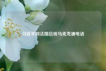 习近平同法国总统马克龙通电话