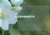 抖音涨粉最快的方式