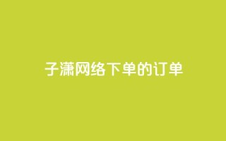 子潇网络下单的订单 - 子潇网络订单服务:简单高效的下单体验!