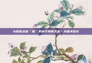 大陆依法惩“独”不利于两岸交流？孙亚夫驳斥