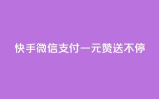 快手微信支付:一元赞送不停